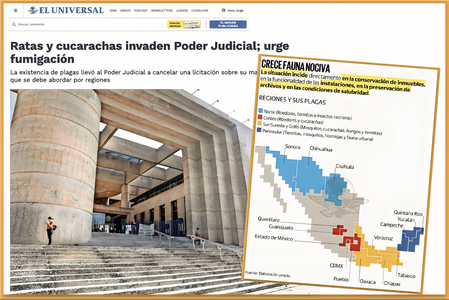 «URGE FUMIGARLAS: RATAS y CUCARACHAS INVADEN el PODER JUDICIAL»…¿se combate la plaga o se protege el ecosistema que la permitió?