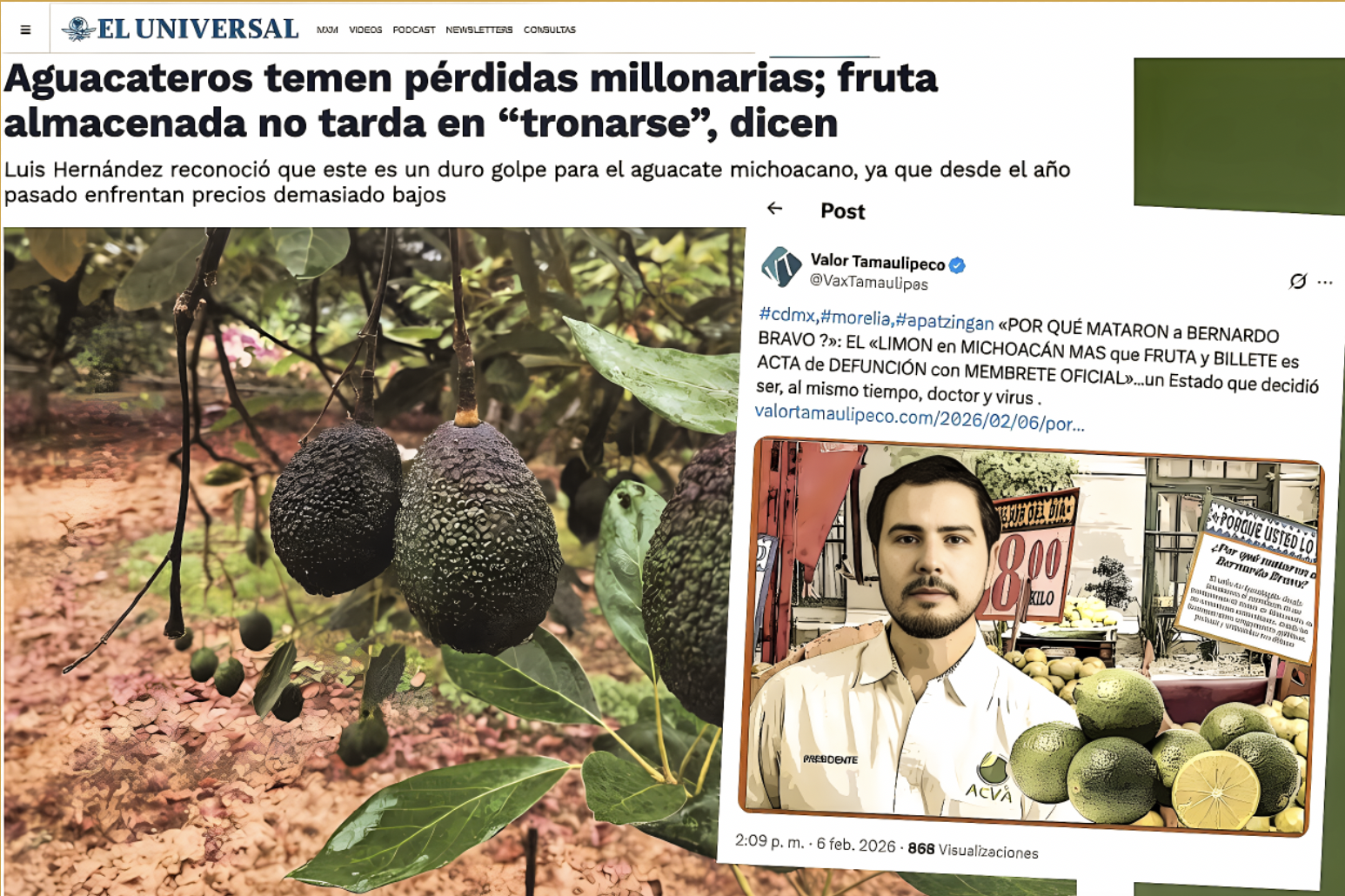 LA «FACTURA en INGLES y en DOLARES: AGUACATES SIN VISA se estan PUDRIENDO por CULPA del NARCOSISTEMA PODRIDO»…estrategia tiene dos décadas atendiendo las mismas extorsiones.