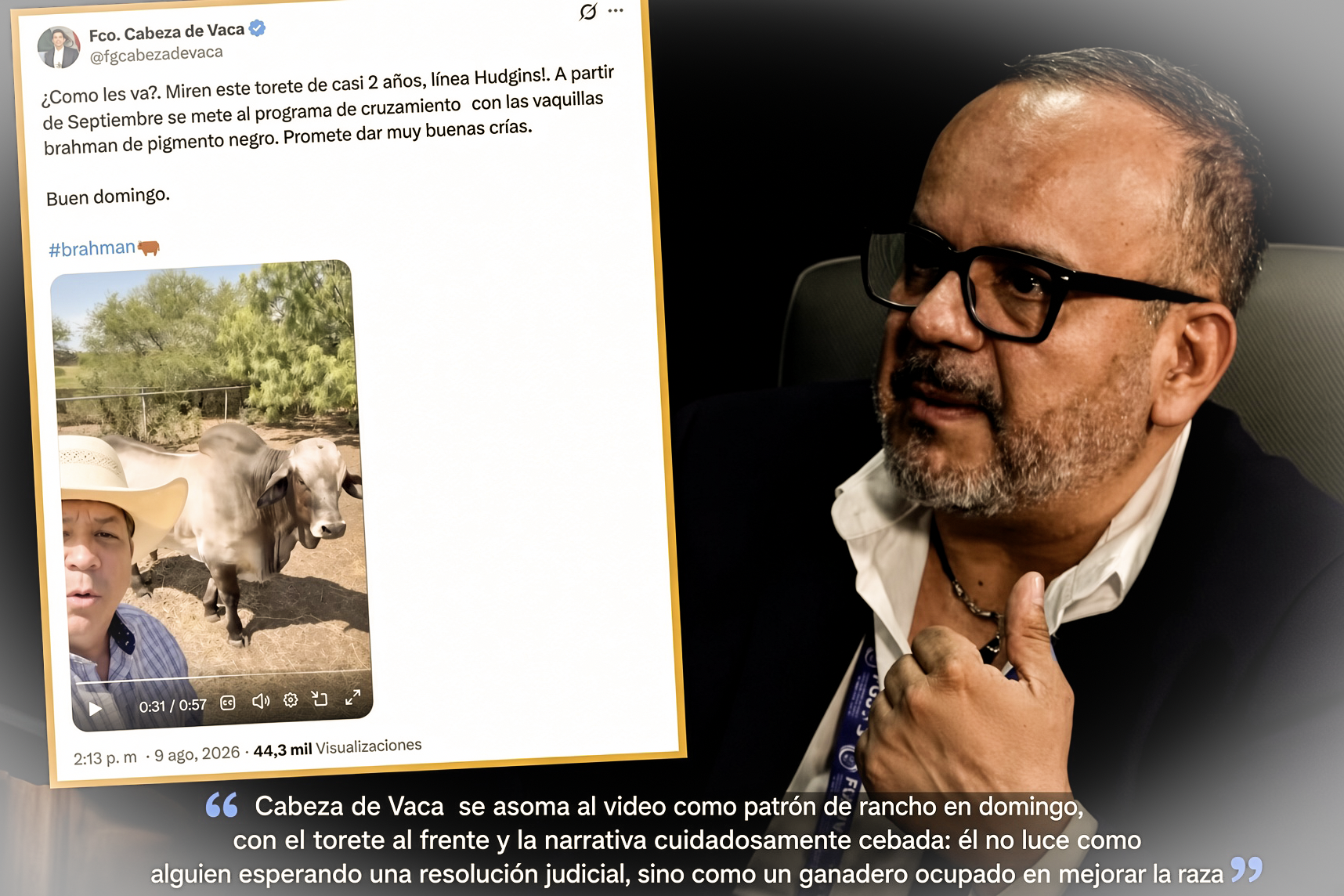 EL «PATRON del RANCHO: CABEZA de VACA anda BIEN PREOCUPADO ECHANDOLE OJO al FIERRO,el LOMO y las BUENAS CRIAS»…no esta rumiando el debido proceso: anda calculando qué tan oscuro saldrá el becerro.