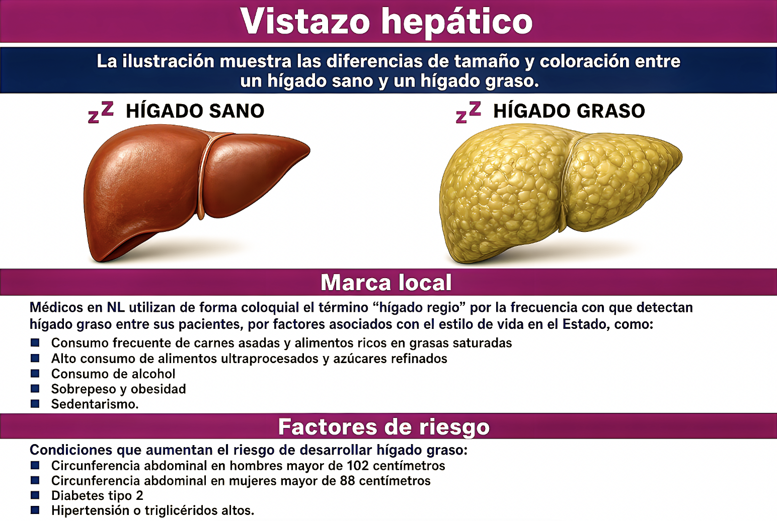 EL “HÍGADO REGIO” NO es FOLCLOR, es SÍNDROME METABÓLICO y ENFERMA MÁS a la RAZITA de N.L».…no sólo se prende el carbón: también se puede estar cebando la esteatosis hepática.
