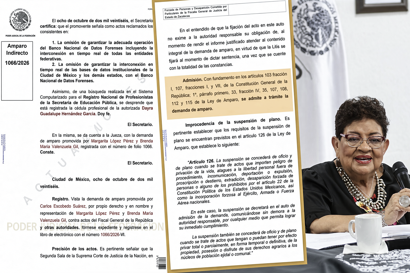 “BANCO FORENSE LLEGÓ al JUZGADO: JUEZA FEDERAL ADMITE DEMANDA de AMPARO de MADRES BUSCADORAS vs. FGR y FISCALÍAS”… quieren que las bases de datos funcionen.